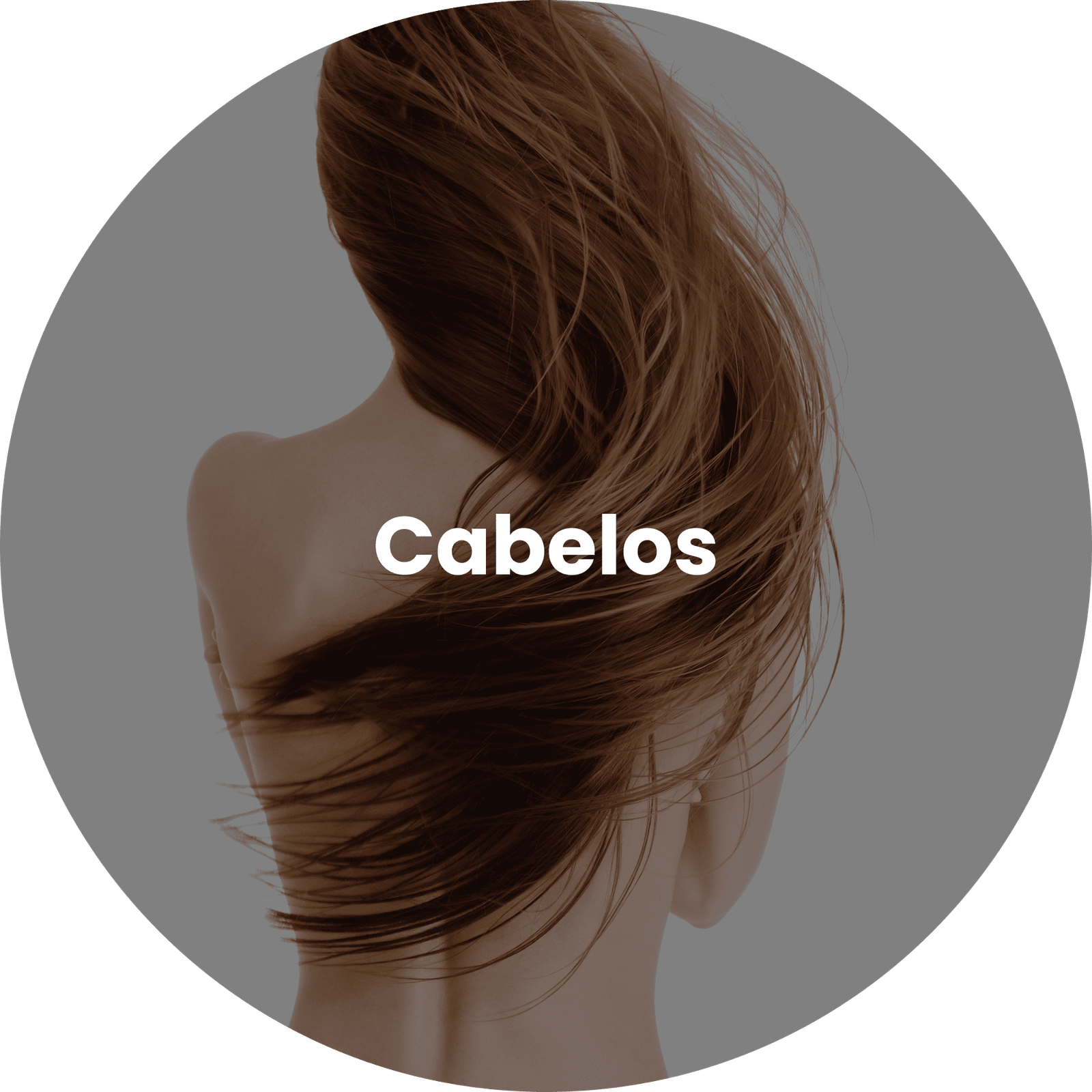 cabel - Loja Abelha Rainha Leme