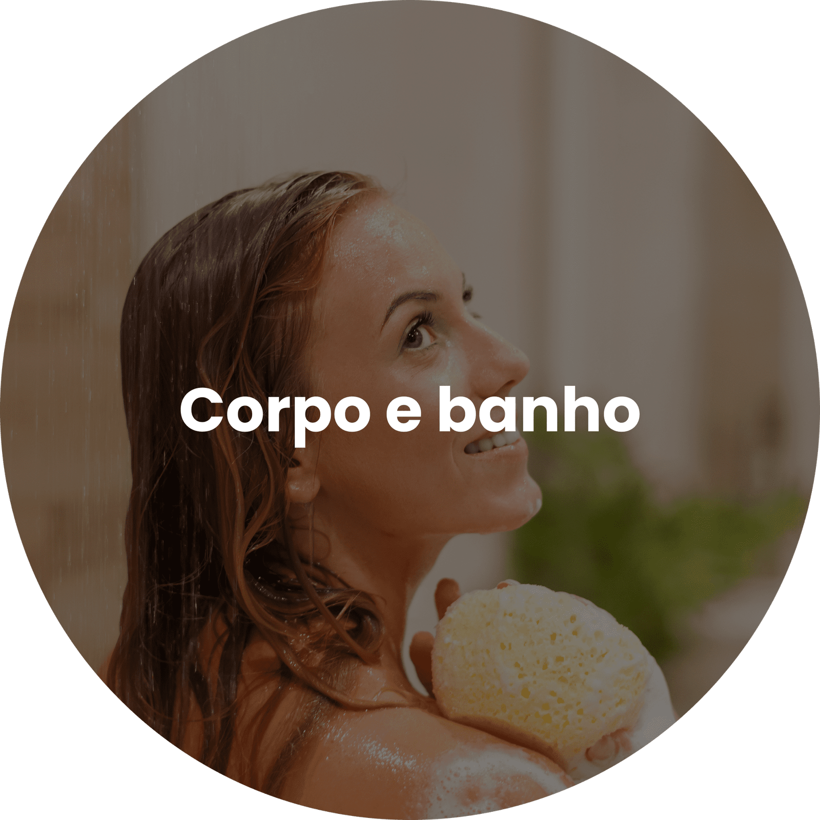 corp - Loja Abelha Rainha Leme